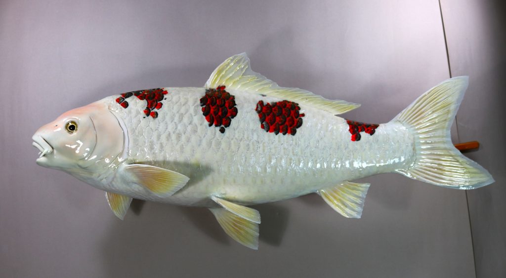 錦鯉の剥製(葡萄)