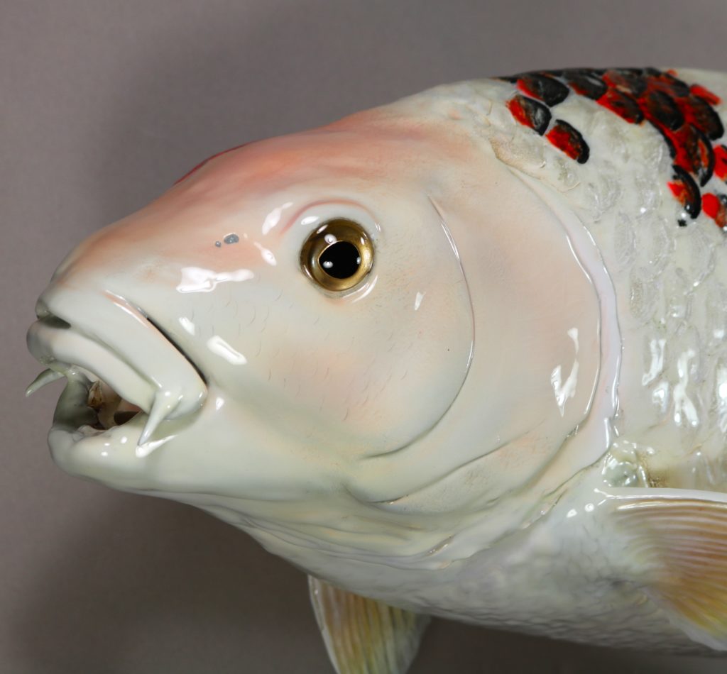 錦鯉の剥製(葡萄)顔